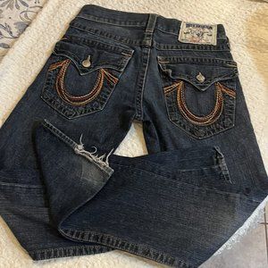 True Religion World Tour, Section Straight, Size 30, Blue